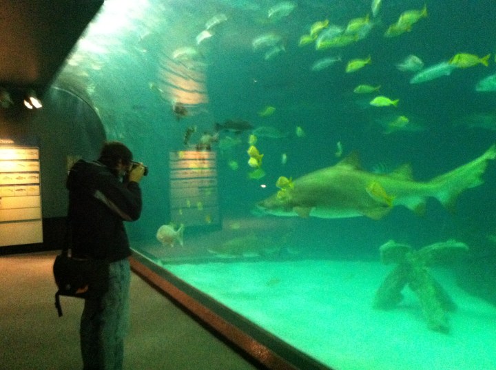 All photos © 2013 Kaitlin Fender Throgmorton.