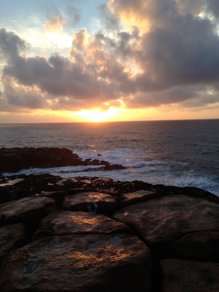 All photos © 2013 Kaitlin Fender Throgmorton.