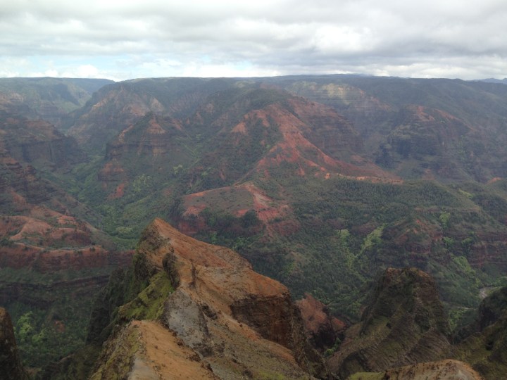 All photos © 2013 Kaitlin Fender Throgmorton.