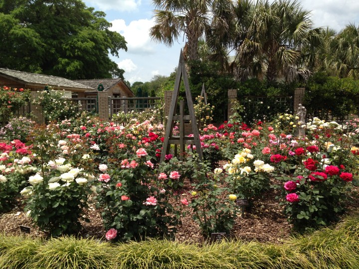 All photos © 2013 Kaitlin Fender Throgmorton.