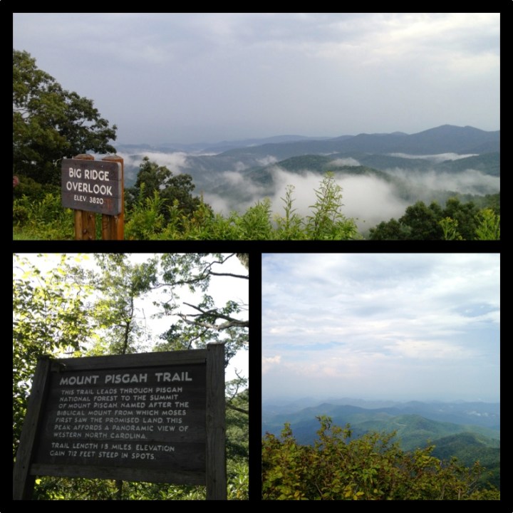 All photos © 2013 Kaitlin Fender Throgmorton.