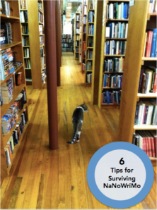 6 Tips for Surviving NaNoWriMo