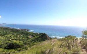 View Diamond Head