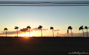 Sunset Hawaii Palm Trees