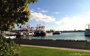 Pier 38 Nicos Hawaii